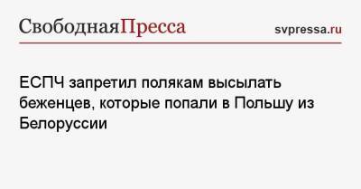ЕСПЧ запретил полякам высылать беженцев, которые попали в Польшу из Белоруссии - svpressa.ru - Белоруссия - Польша - Литва - Варшава - Латвия