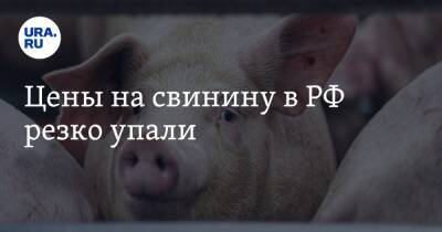 Цены на свинину в РФ резко упали - ura.news - Россия