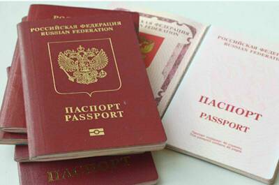 Биометрические загранпаспорта можно будет получать в криптокабинах в МФЦ - pnp.ru