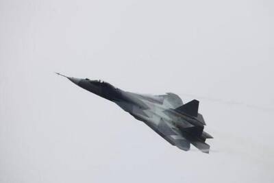Новая система ПВО позволит Великобритании защититься от Су-57 - mk.ru - Англия