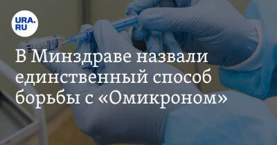 Владимир Чуланов - В Минздраве назвали единственный способ борьбы с «Омикроном» - ura.news - Россия - Юар