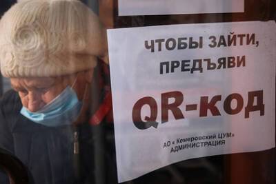 В России оценили реакцию региональных парламентов на закон о QR-кодах - lenta.ru - Россия - Ленинградская обл. - Санкт-Петербург - Алтайский край - Севастополь - Свердловская обл. - Калининградская обл.