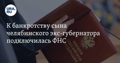 Борис Дубровский - К банкротству сына челябинского экс-губернатора подключилась ФНС - ura.news - Челябинская обл. - Челябинск