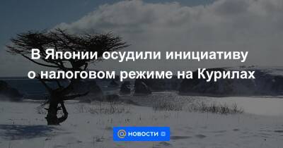 В Японии осудили инициативу о налоговом режиме на Курилах - news.mail.ru - Россия - Япония