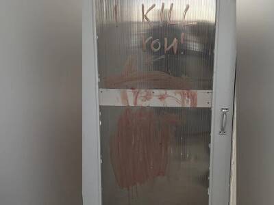 Южноуральцы требуют отправить в колонию школьницу, убившую котенка - u24.ru - Россия - Челябинская обл. - Челябинск