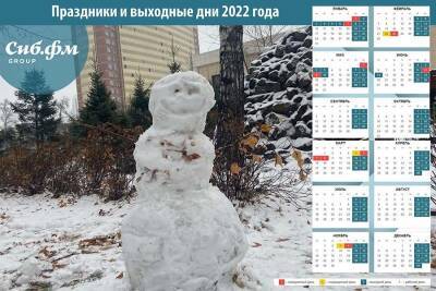 Объявят уже скоро: в России обсуждают продление новогодних каникул до февраля 2022 года из-за штамма «омикрон» - sib.fm - Россия - Новосибирск - Юар
