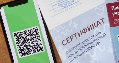 Андрей Кропоткин - Депутаты региональных парламентов положительно оценили введение обязательных QR-кодов - runews24.ru - Россия - Ленинградская обл. - Санкт-Петербург - Алтайский край - Севастополь - Калининград - Свердловская обл.