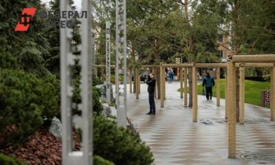 Растения в кемеровском парке Ангелов поддержат антидепрессантами - fedpress.ru - Кемерово