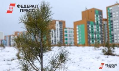 В Сочи заменят упавшие сосны на новые - fedpress.ru - Сочи