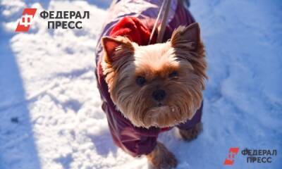 Людмила Паршина - Синоптики предрекли «погодную лихорадку» в России - fedpress.ru - Москва - Россия