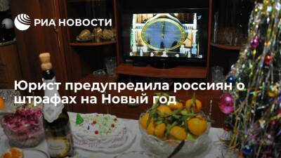 Адвокат Шевцова рассказала, как избежать штрафов за шум и фейерверки на Новый год - ria.ru - Москва - Россия - Московская обл.