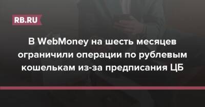 В WebMoney на шесть месяцев ограничили операции по рублевым кошелькам из-за предписания ЦБ - rb.ru - Россия