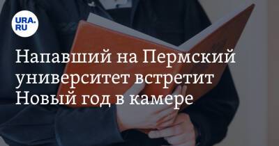 Напавший на Пермский университет встретит Новый год в камере - ura.news - Дзержинск - Пермь