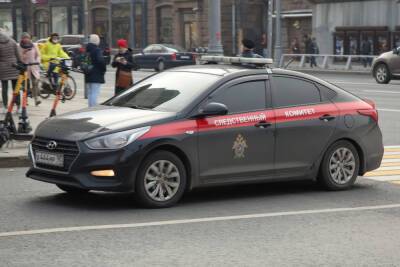 Уралец, убивший приятеля за 500 рублей, получил 15 лет колонии - mk.ru - Свердловская обл. - Карпинск