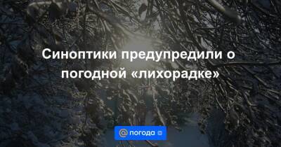 Синоптики предупредили о погодной «лихорадке» - news.mail.ru - Московская обл.