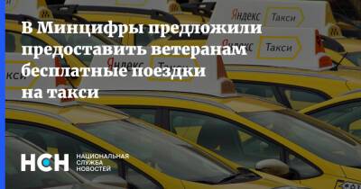 Максут Шадаев - В Минцифры предложили предоставить ветеранам бесплатные поездки на такси - nsn.fm - Россия
