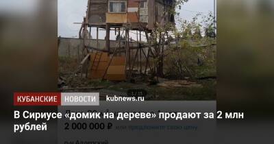 В Сириусе «домик на дереве» продают за 2 млн рублей - kubnews.ru