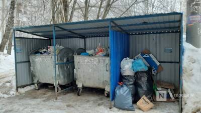 Пять проблем контейнерных площадок определили в Нижнем Новгороде - vgoroden.ru - Нижний Новгород - район Канавинский - Экология