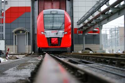 Мигрант угрожал взорвать электропоезд «Ласточка» в Тверской области - afanasy.biz - Москва - Россия - Узбекистан - Тверь - Тверская обл.
