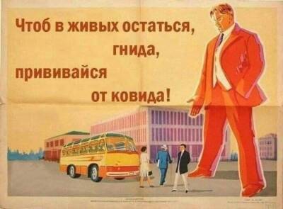 «Гнида, прививайся от ковида!»: подмосковный оперштаб опубликовал агрессивную агитацию - znak.com - Россия