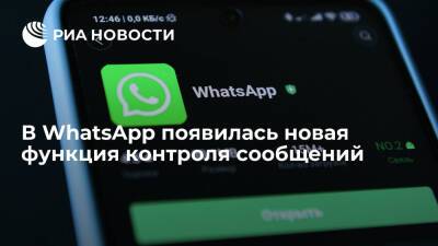 В WhatsApp появилась новая функция контроля сообщений - ria.ru - Москва