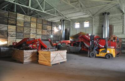 Континентал наращивает складские мощности для хранения семенного картофеля - agroportal.ua - Украина
