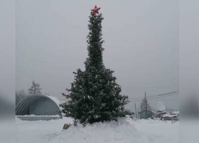 Жители поселка в Якутии пожаловались на новогоднюю елку фаллической формы - province.ru - респ. Саха