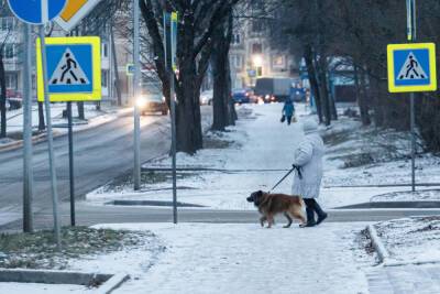 До минус 24 градусов упадет температура в Псковской области 8 декабря - mk-pskov.ru - Псковская обл. - Псков