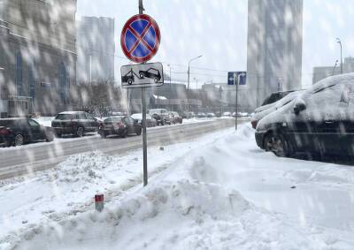 Евгений Тишковец - Рекордный снегопад стал экзаменом для коммунальных служб Москвы и Санкт-Петербурга - mskgazeta.ru - Москва - Россия - Санкт-Петербург