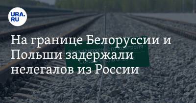Анна Михальская - На границе Белоруссии и Польши задержали нелегалов из России - ura.news - Россия - Белоруссия - Ирак - Польша - респ. Чечня