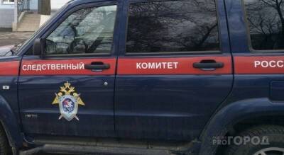 Прокуратура Чувашии нашла виновного в смерти ребенка, которого придавило бревнами - pg21.ru - респ. Чувашия