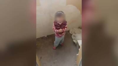"Признаю вину": мать из Казани, избившая дочь из мести мужу, раскаялась - vesti.ru - Россия - Казань