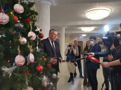 Александр Дрозденко - Александр Дрозденко зажег Елку желаний - ivbg.ru - Украина - Ленинградская обл. - р-н Всеволожский
