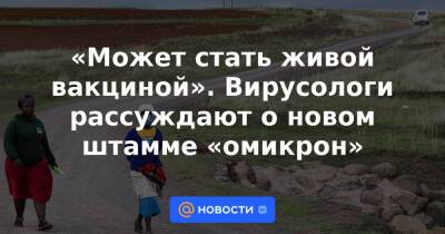 Петр Чумаков - «Может стать живой вакциной». Вирусологи рассуждают о новом штамме «омикрон» - news.mail.ru - Россия