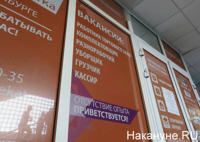 Частные сервисы по поиску работы эффективнее государственных – Счетная палата - nakanune.ru