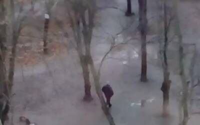 Наглого автора засняли за "работой" в Одессе: обнародовано видео - politeka.net - Украина - Одесса - Одесса