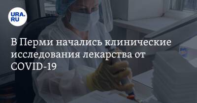 В Перми начались клинические исследования лекарства от COVID-19 - ura.news - Москва - Россия - Смоленск - Санкт-Петербург - Воронеж - Пермь - Калининград - Рязань - Ярославль - Саранск - Иваново