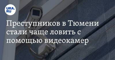 Преступников в Тюмени стали чаще ловить с помощью видеокамер. За год статистика выросла вдвое - ura.news - Тюмень - Тюменская обл.