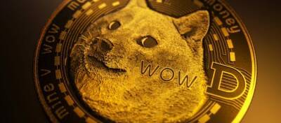 Курс вырос более чем в 570 раз за 8 лет: ​история первой криптовалюты-мема - altcoin.info - США