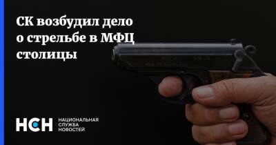 Юлия Иванова - СК возбудил дело о стрельбе в МФЦ столицы - nsn.fm - Россия - Следственный Комитет