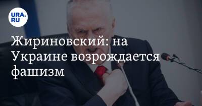 Владимир Путин - Владимир Жириновский - Джо Байден - Жириновский: на Украине возрождается фашизм - ura.news - Россия - США - Украина - Германия