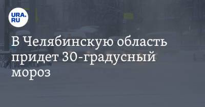 В Челябинскую область придет 30-градусный мороз. Скрин - ura.news - Челябинская обл. - Челябинск