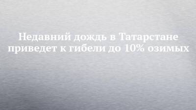 Недавний дождь в Татарстане приведет к гибели до 10% озимых - chelny-izvest.ru - респ. Татарстан