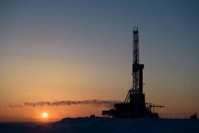 Искусственный интеллект открывает новые перспективы нефтедобывающей промышленности - mk.ru - Россия