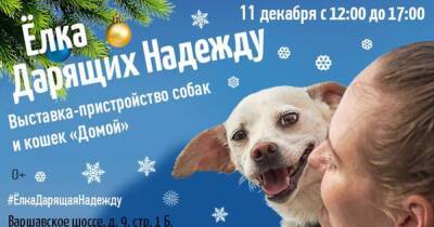 Предновогодняя елка-пристройство собак и кошек из приютов от фонда «Дарящие Надежду» и PURINA - skuke.net - Москва - Москва