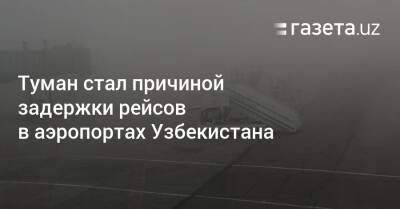 Туман привёл к задержке рейсов в аэропортах Узбекистана - gazeta.uz - Узбекистан - Ташкент
