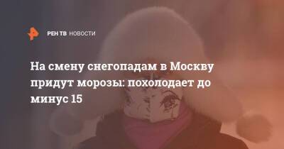 На смену снегопадам в Москву придут морозы: похолодает до минус 15 - ren.tv - Москва - Московская обл. - Москва