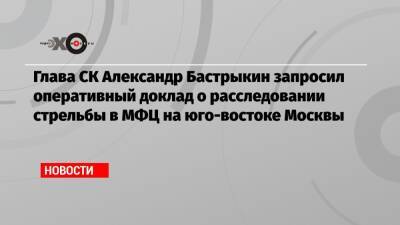 Ирина Волк - Александр Бастрыкин - Глава СК Александр Бастрыкин запросил оперативный доклад о расследовании стрельбы в МФЦ на юго-востоке Москвы - echo.msk.ru - Москва