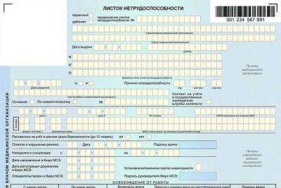 Псковская трудовая инспекция: с 2022 года электронный больничный станет обязателен - mk-pskov.ru - Псковская обл. - Псков