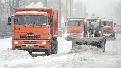 Евгений Тишковец - Тишковец назвал снегопад в Москве 7 декабря сильнейшим с 1949 года - iz.ru - Москва - Россия - Израиль - Московская обл. - Михайловск